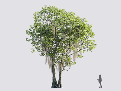Mature Tree With Lush Green Foliage Thick Trunk Hanging Moss And Nearby Silhouette Figure 3d model