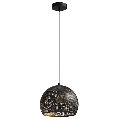 Stylish Spherical Perforated Pendant Light with Black Metal Frame and Shadow Effect 3d model