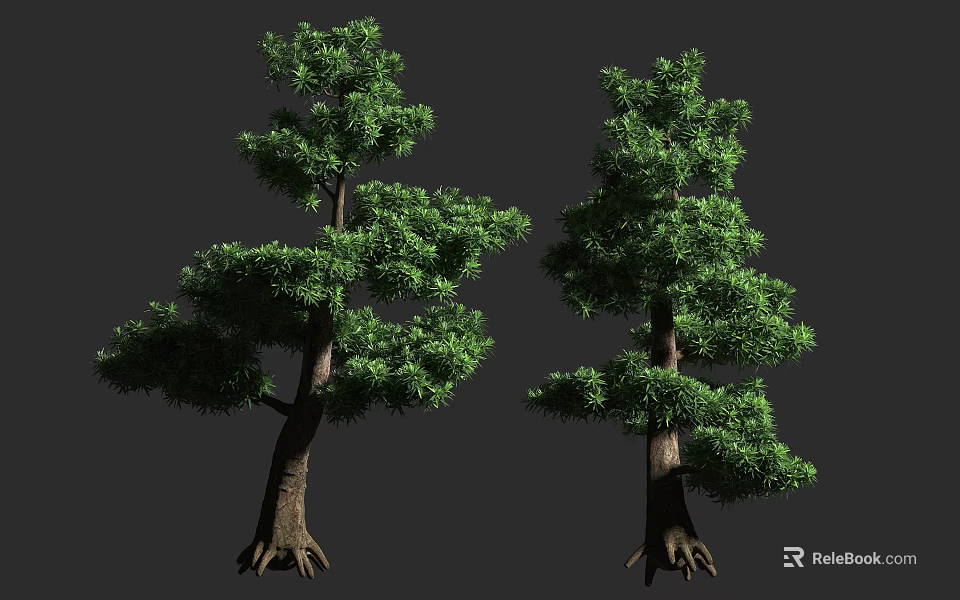 Two Green Trees with Lush Foliage Strong Trunks and Exposed Roots 3d model 
