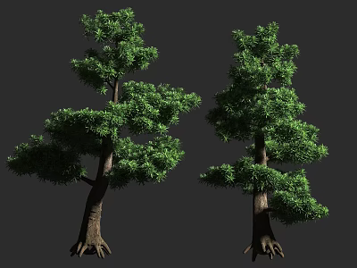 Two Green Trees with Lush Foliage Strong Trunks and Exposed Roots 3d model