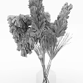 Minimalist Transparent Glass Vase With Dried Pampas Grass Reeds Home Decor