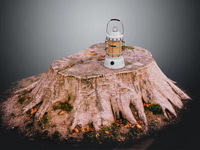 Natural Wooden Tree Stump With White Lantern Fallen Leaves And Grass 3d model