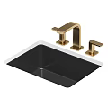Stainless Steel Kitchen Sink With Brushed Gold Faucet Modern Design And Color Options