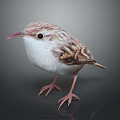 Small Brown and White Bird with Red Beak Standing on Dark Background 3d model