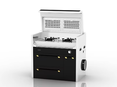 Modern Black And White Kitchen Appliance With Stove Range Hood And Gold Accent Drawers 3d model