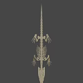 Full Crocodile Skeleton With Detailed Skeletal Structure For Scientific Study