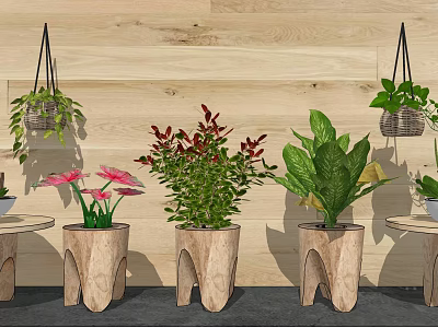 Indoor Potted Plants With Red Leaves Pink Flowers In Wooden Planters Against Wooden Wall 3d model