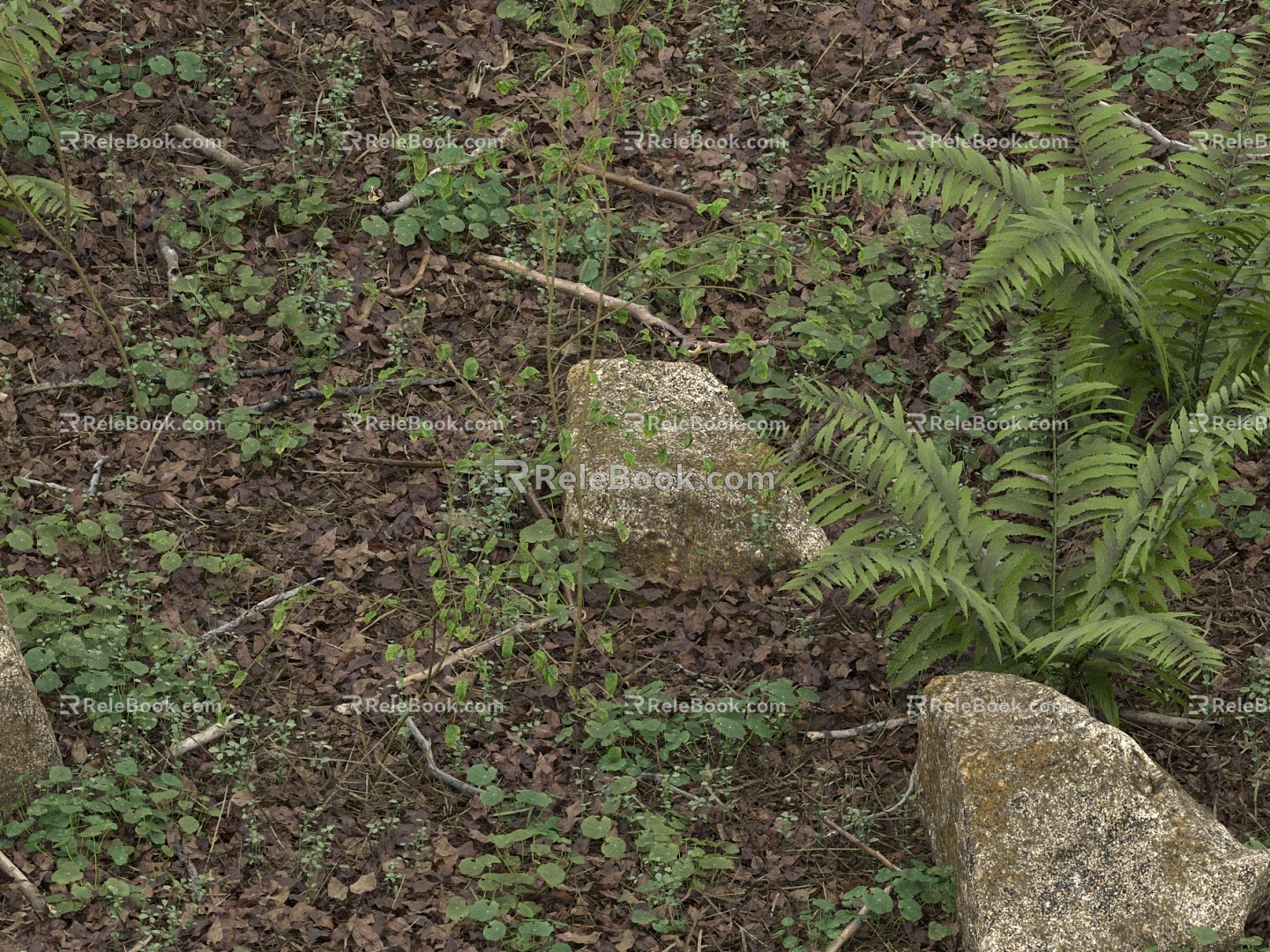 Real outdoor land stone grass 3d model