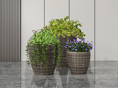 Potted Plants in Wicker Baskets with Green Foliage and Purple Flowers in Modern Interior 3d model