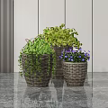 Potted Plants in Wicker Baskets with Green Foliage and Purple Flowers in Modern Interior