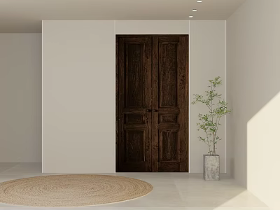Dark Wooden Double Doors with White Walls Light Tiled Floor Round Woven Rug Green Plant 3d model