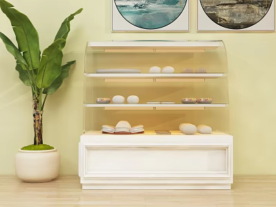 White Glass Door Display Cabinet Shelf with Layered Decorative Items Green Plant and Wall Art 3d model