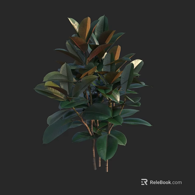 Vibrant Lush Tree With Dense Green And Brown Leaves And Woody Branches 3d model 