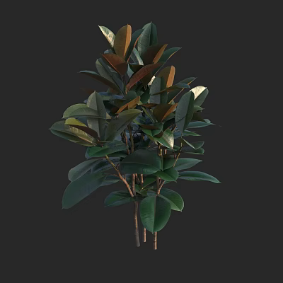 Vibrant Lush Tree With Dense Green And Brown Leaves And Woody Branches 3d model