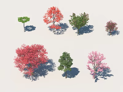 Various Types of Ornamental Trees With Colorful Foliage for Garden Landscaping 3d model