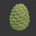Orange Brown Pine Cone With Scaly Texture Isolated On Dark Background 3d model