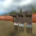 Primitive Weapon Made With Wooden Handle And Metal Forks Bound Together