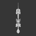 Realistic Cat Skeleton 3D Model With Detailed Bone And Joint Structure 3d model