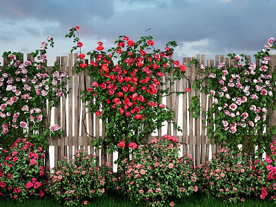 Colorful Red Pink White Flowers With Vines On Wooden Fence And Green Grass 3d model