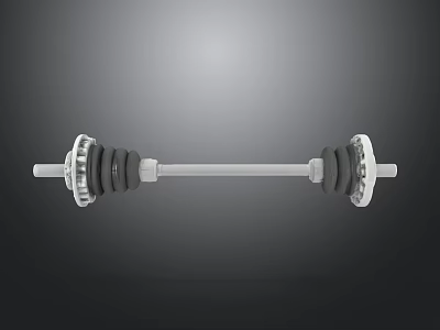 Metal Dumbbell Hardware Tools With Solid Weight Plates For Fitness Exercise 3d model