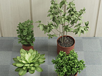 Modern potted green plant model