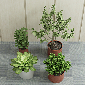 Modern potted green plant 3d model