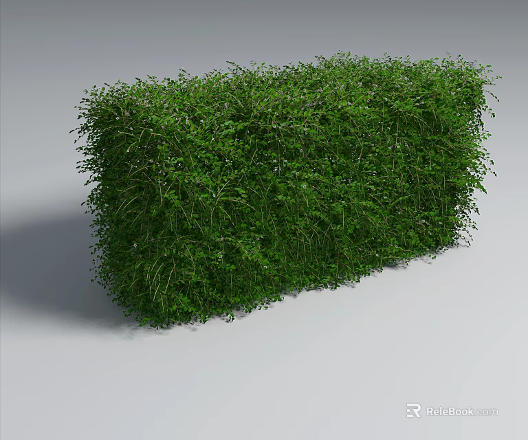 Living Green Plant Wall Indoor Decorative Design With Lush Foliage 3d model 