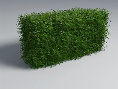 Living Green Plant Wall Indoor Decorative Design With Lush Foliage 3d model