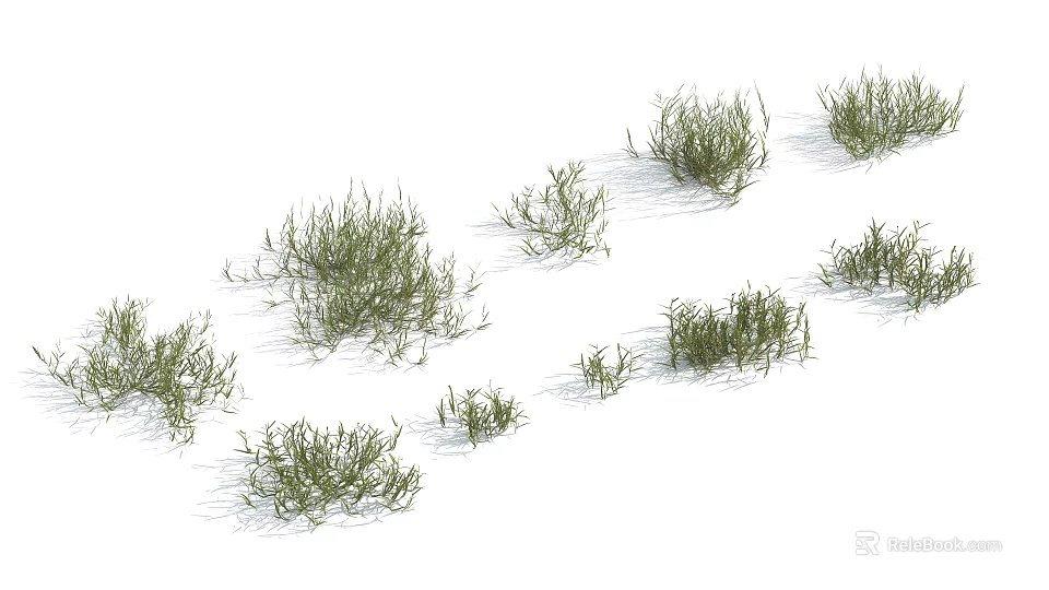 Green Grasses in Multiple Clumps with Various Sizes and Shapes on White Background 3d model 