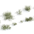 Green Grasses in Multiple Clumps with Various Sizes and Shapes on White Background
