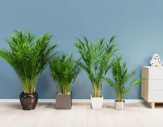 Modern Bonsai 3d model