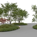 Natural Garden Plant Combination With Various Trees Shrubs Curved Pathway And Lights