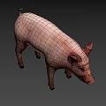 Realistic Standing Pink Pig With Ears Snout And Dark Background Shadow