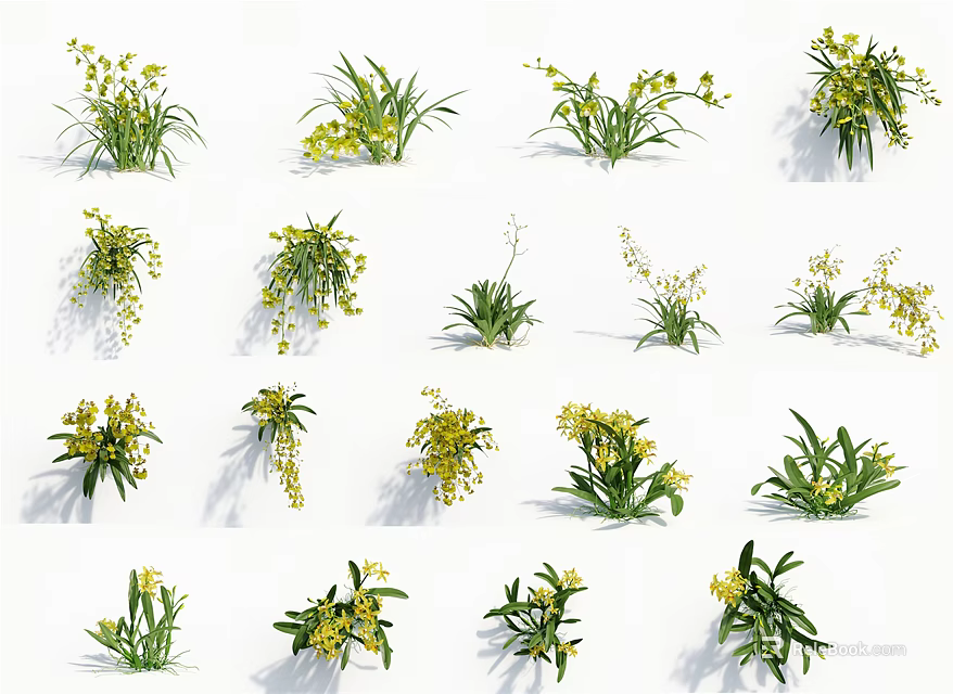 Various Types of Floral Plants With Yellow Blossoms and Green Leaves Displayed on White Background 3d model 