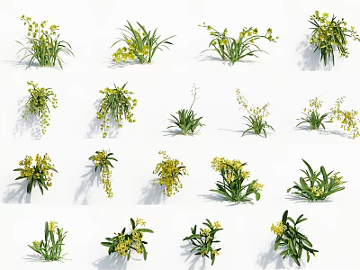 Various Types of Floral Plants With Yellow Blossoms and Green Leaves Displayed on White Background 3d model