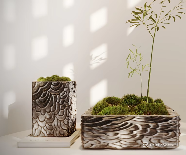 Bonsai Potted Plants In Textured Patterned Pots With Moss And Bamboo Under Sunlight Shadows 3d model 