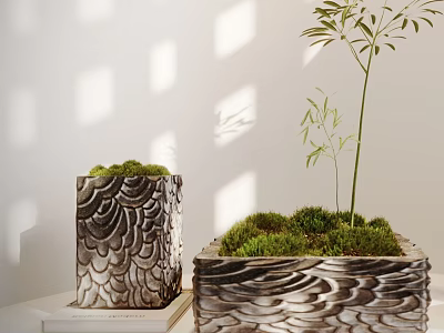 Bonsai Potted Plants In Textured Patterned Pots With Moss And Bamboo Under Sunlight Shadows 3d model