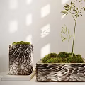 Bonsai Potted Plants In Textured Patterned Pots With Moss And Bamboo Under Sunlight Shadows