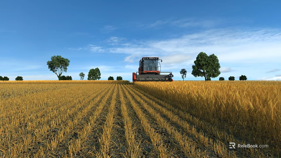 Beautiful Rural Harvest Scenery With Combine Harvester In Golden Wheat Field Under Clear Blue Sky 3d model 