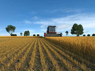 Beautiful Rural Harvest Scenery With Combine Harvester In Golden Wheat Field Under Clear Blue Sky 3d model