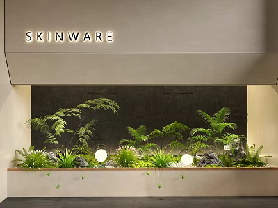 Modern Indoor Landscape With SKINWARE Lush Fern Plants Round Lights And Stones 3d model