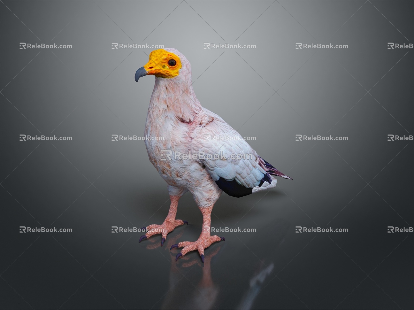 bird bird bird bird game animal cartoon animal animal realistic animal 3d model