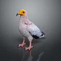 White Bird With Yellow Head And Black Wings Standing On Gray Background