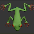 Vibrant Green Frog With Red Eyes And Red Toes On Black Background