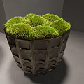 Lush Green Moss Decorative Display In Ceramic Bowl And Textured Container