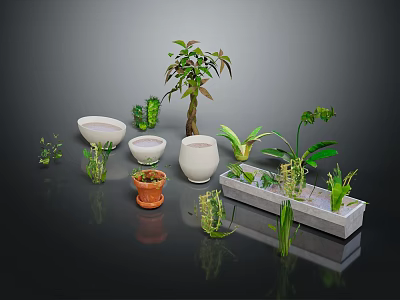 Various Indoor Plants with Different Planters Including White Ceramic and Clay Pots 3d model