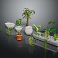 Various Indoor Plants with Different Planters Including White Ceramic and Clay Pots 3d model
