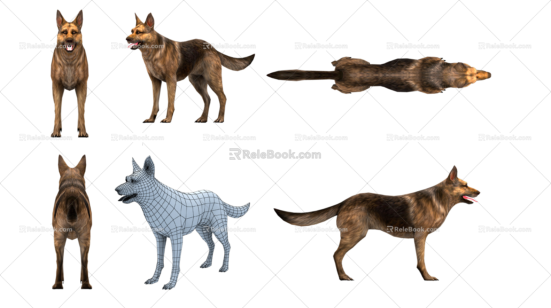 The Modern Dog 3d model