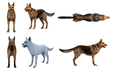 The Modern Dog 3d model