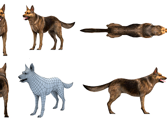 The Modern Dog 3d model